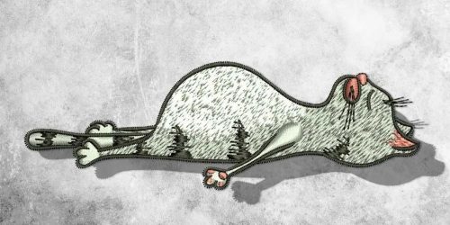 ZJEN2108 savasana