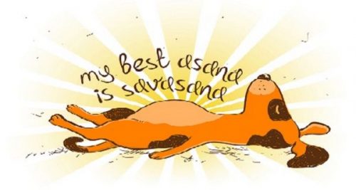 ZJEN2108 savasana