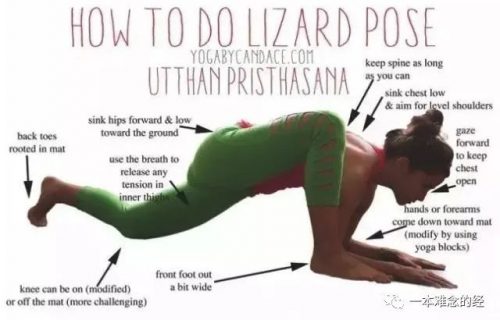 Fitness Lizard Pose
